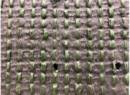 turf backing