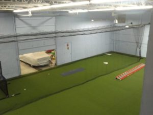 Artificial Turf Indoors